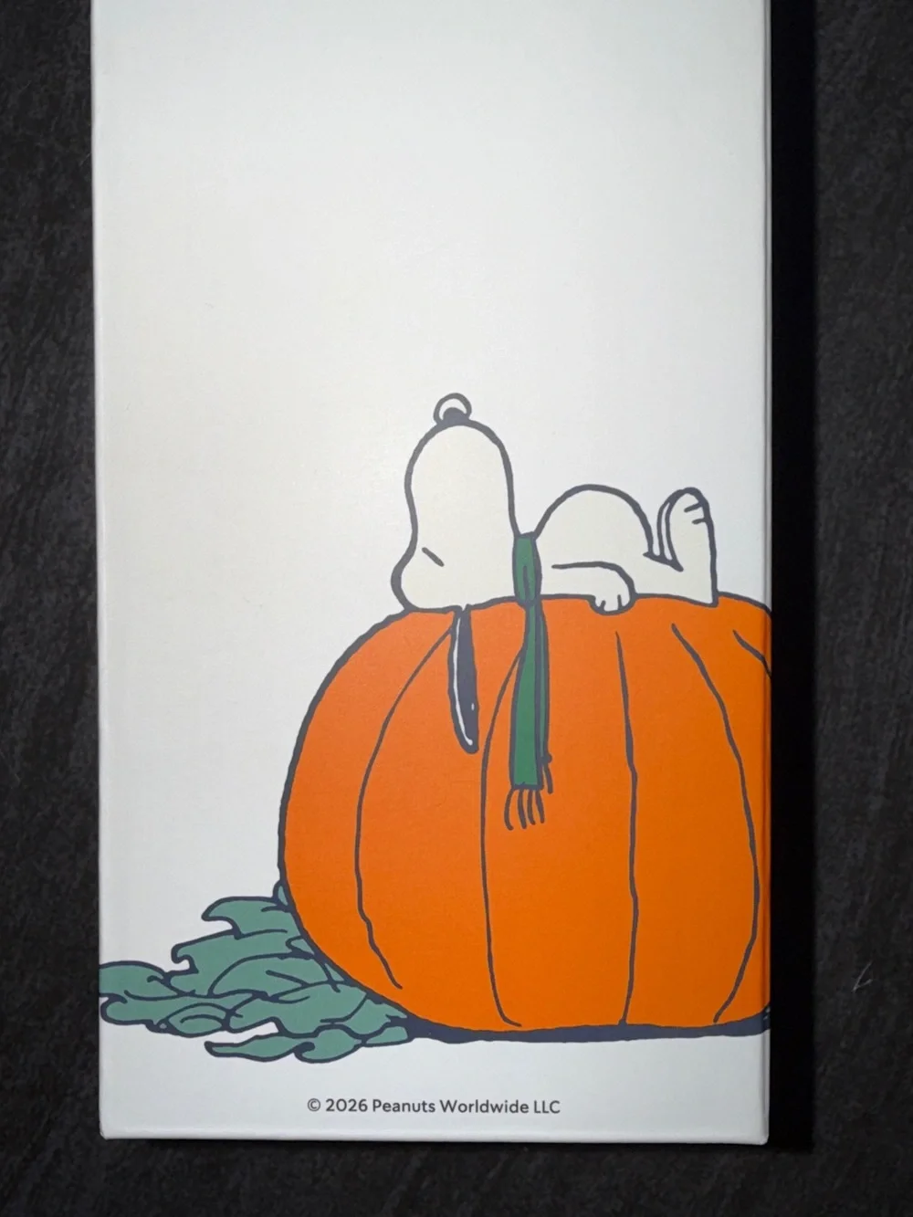 Limited Edition Starbucks x Peanuts Fall Collection Stainless Steel Tumbler